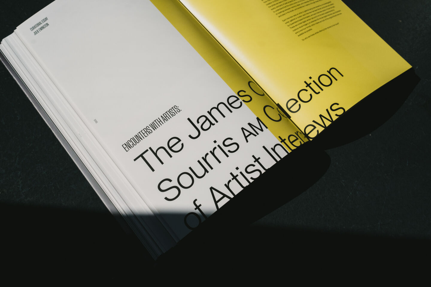 Internal spread designed for the Meet The Artists publication, featuring strong grids and typography.