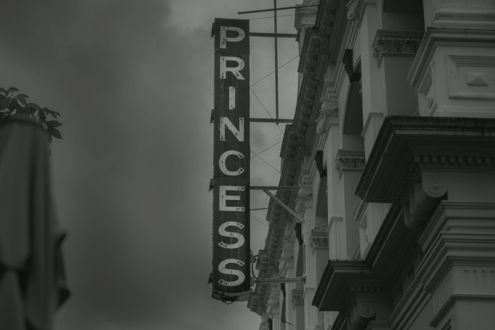The Princess Theatre - Bigfish